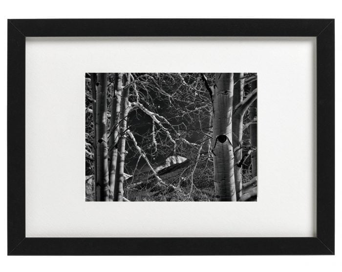Fine Art B&W Photograph of mountains and trees in Silverton, CO by Oliver Tollison