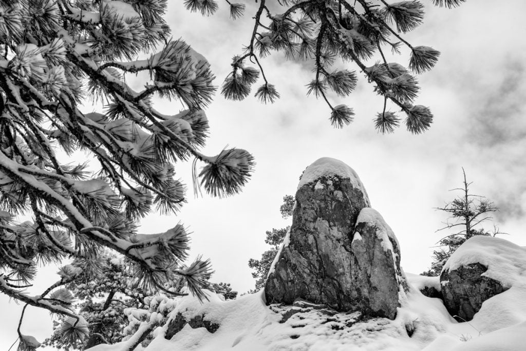 Zen of Snow-Boulder Colorado in the snow